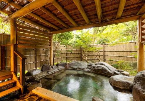 Hakone Yumoto Onsen Yoshiike Ryokan, onsen