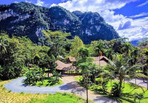 Our Jungle Camp