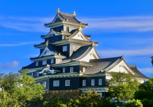 Okayama Koraku Hotel, kasteel