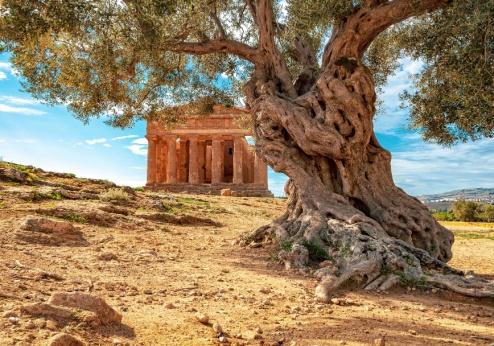Valle dei Templi in Agrigento