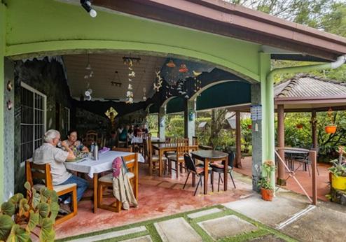 El Oasis Hotel, terras