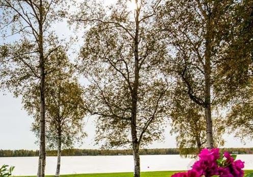 Best Western Lake Lucille, Tuin