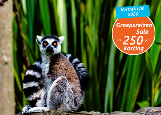 Groepsreizen Sale HP