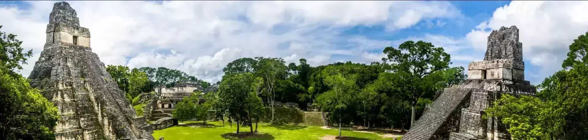 Mayaru&iuml;nes van Tikal in Guatemala