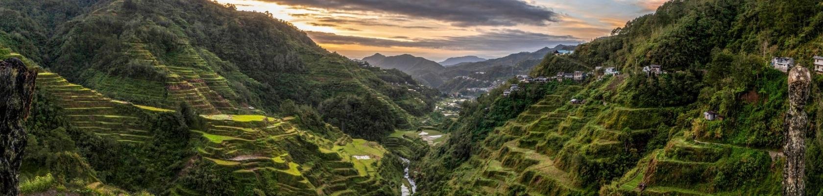Rijstvelden Banaue