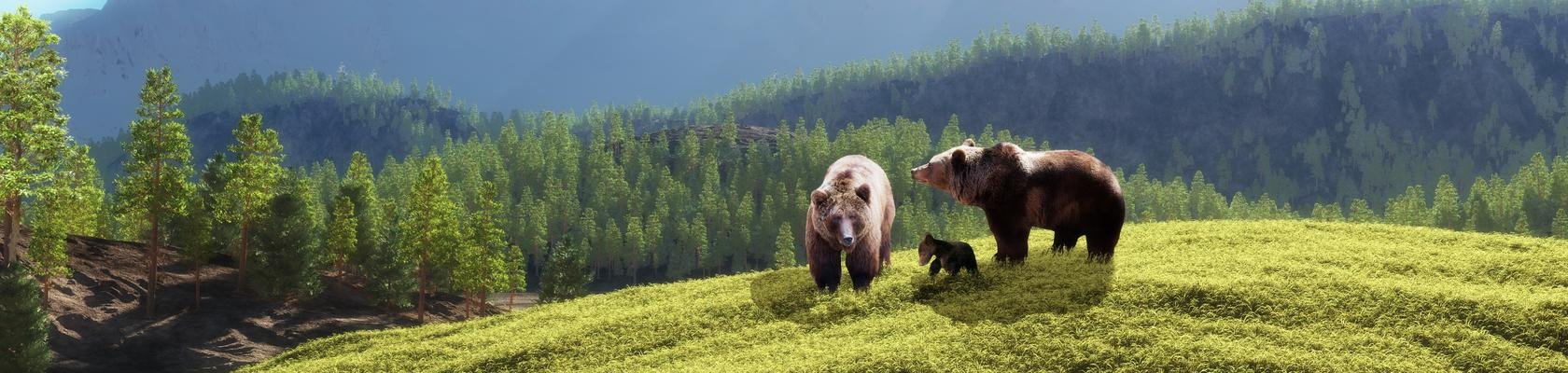 Wildlife