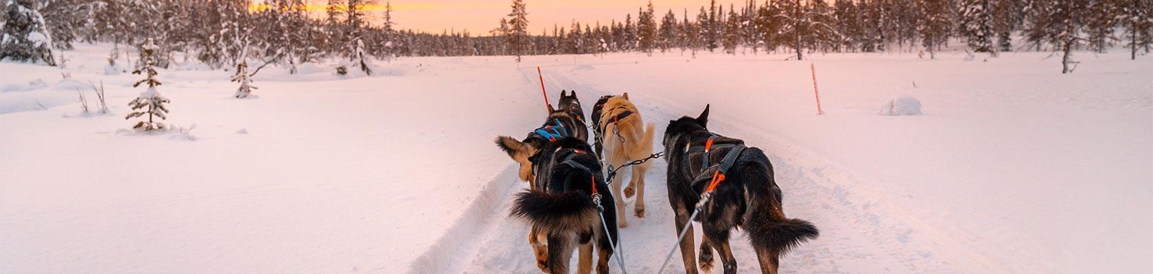 Lapland
