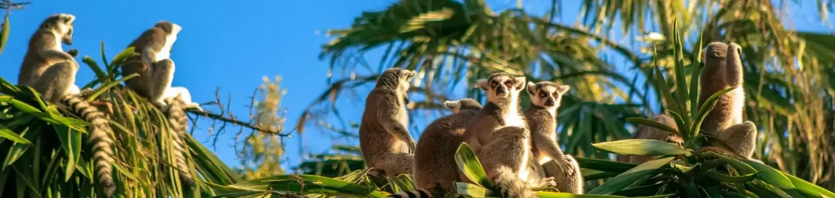 De Legendarische Zuidroute van Madagaskar