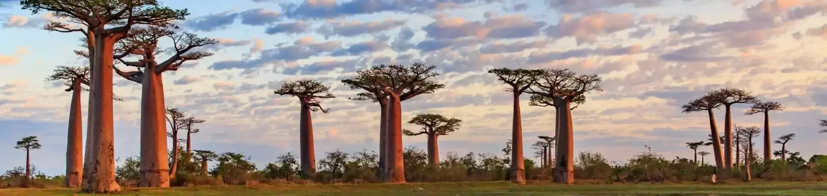 Hoogtepunten van Madagaskar