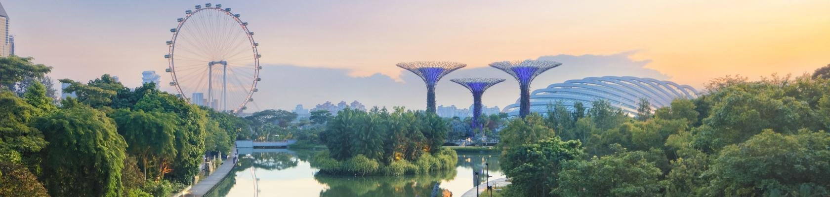 Gardens by the Bay in wereldstad Singapore
