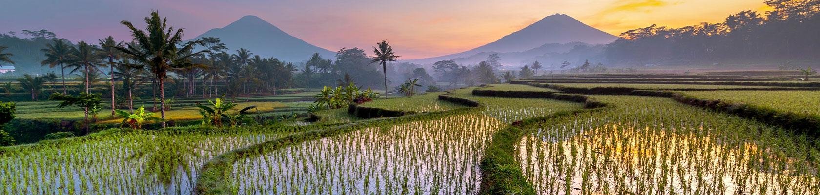 Indonesie