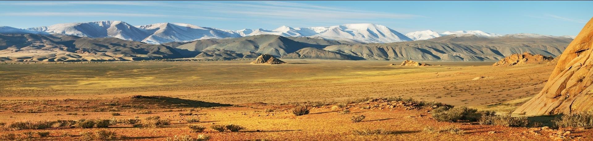 Mongoli&euml;, Steppe