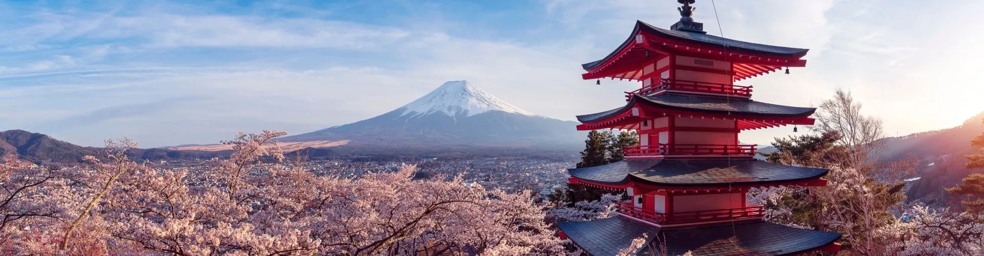 Mount Fuji Japan