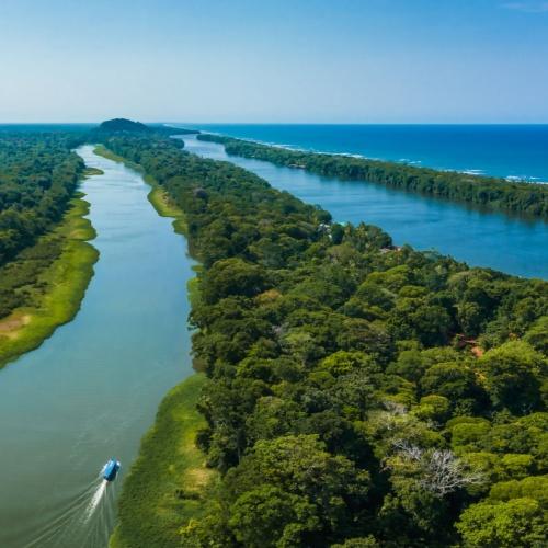 Tortuguero