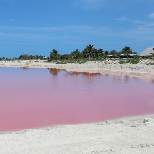 Las Coloradas
