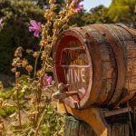 Pelje&scaron;ac, wijnvat