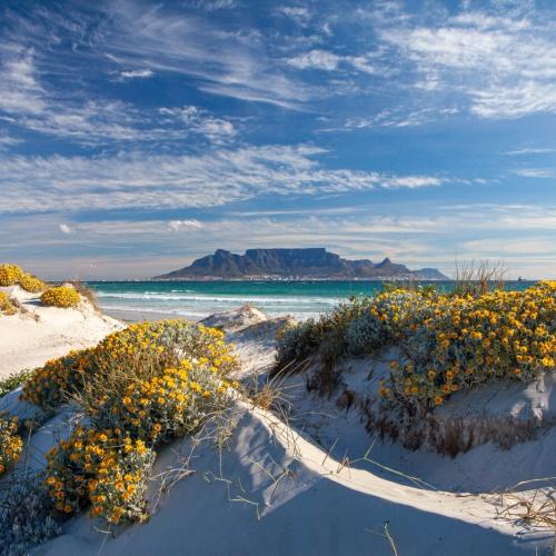 Strand met Tafelberg op achtergrond