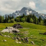 Velika Planina, herdershuisjes