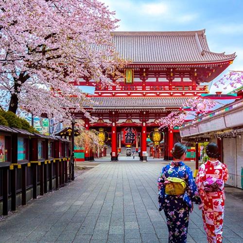 Tokyo, bloessem
