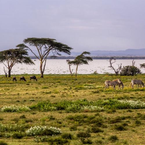 Crescent Island, Lake Naivasha