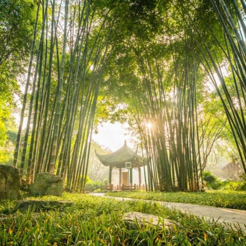 Volkspark van Chengdu