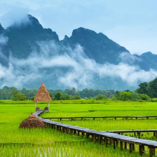 Vang Vieng, rijstvelden