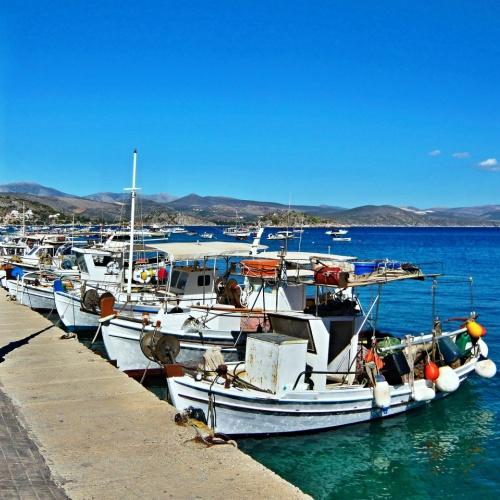 Haven, Tolo