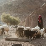 Dana natuurreservaat