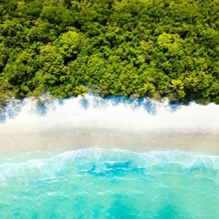 Dagexcursie Cape Tribulation & Daintree