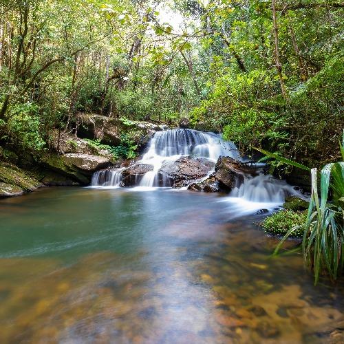  Andasibe Analamazaotra Nationaal Park