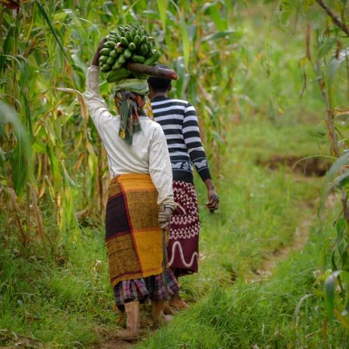 Lokale leven in Oeganda