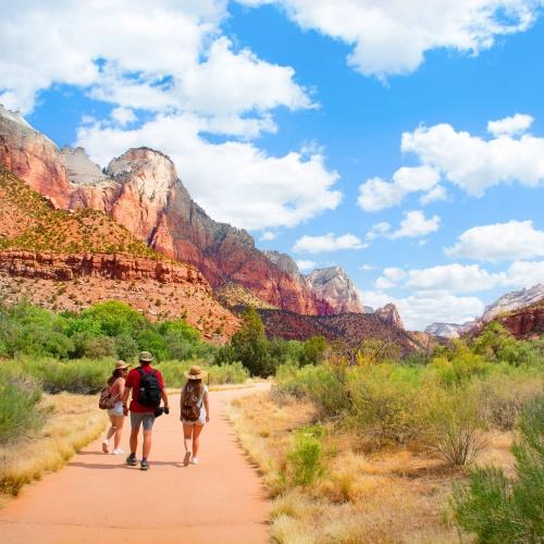 Gezin wandelend door Zion Canyon