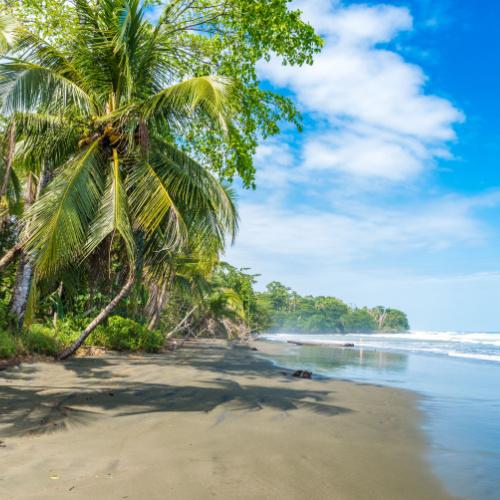 Het strand van Cahuita