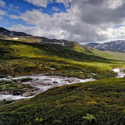 Dovrefjell-Sunndalsfjella, Nationaal Park