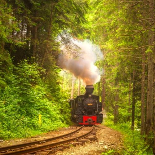 Buccovina, Mocanita stoomtrein