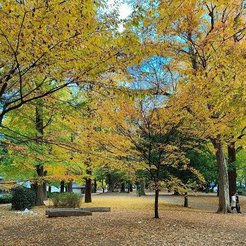Ueno Park 