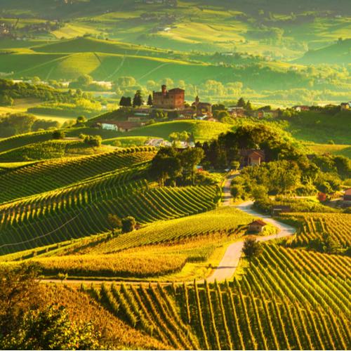 Piemonte wijnlanden