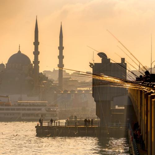 Istanbul brug met vissers