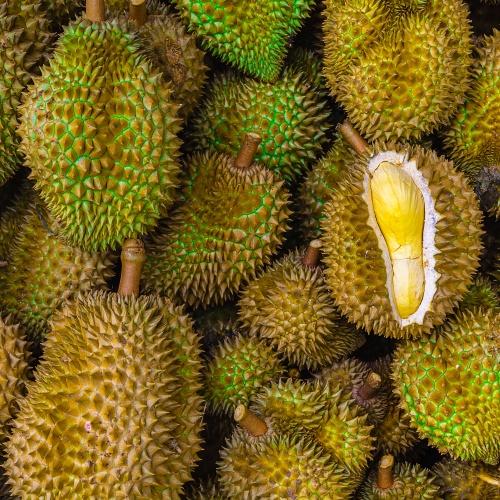 Durians in Singapore