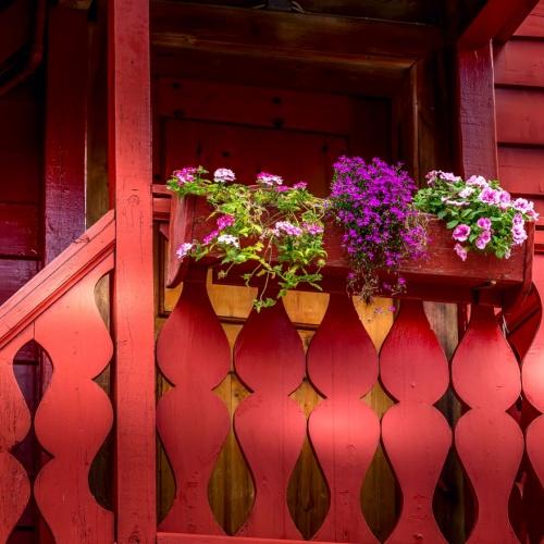 Bryggen 
