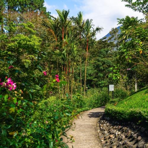 Nationaal park Volcán Arenal