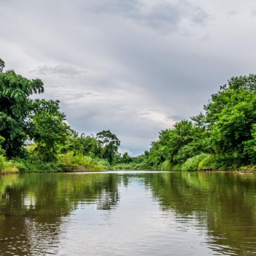 Ping rivier