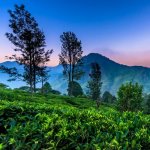 Little Adam's Peak