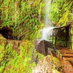 Levada da Ribeira da Janela, Madeira