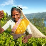 Nuwara eliya