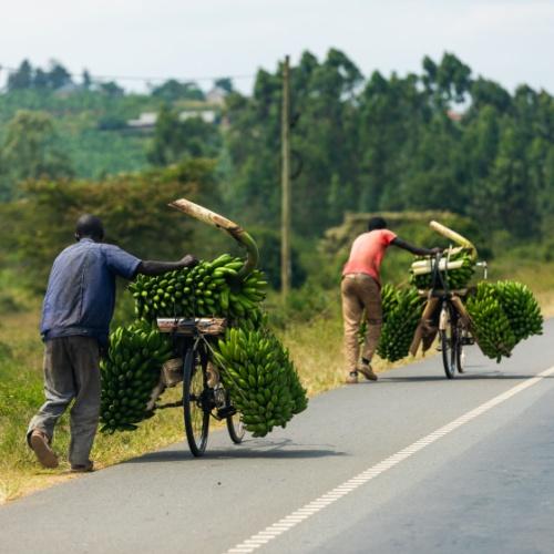 Dagelijks leven Oeganda