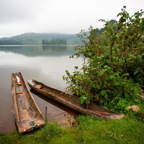 Kano's bij Bunyonyimeer