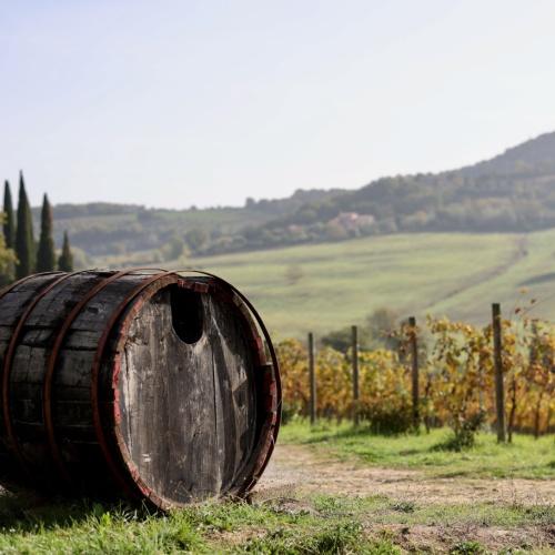 Val D'Orcia, vino nobile