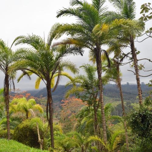 Turrialba