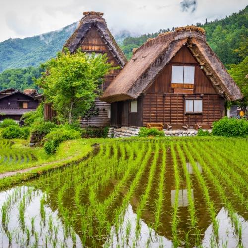Shirakawago, boerderij